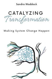 Cover image: Catalyzing Transformation 9781637425084