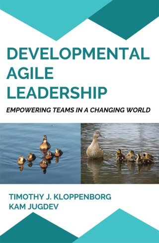 Cover image: Developmental Agile Leadership 9781637428849
