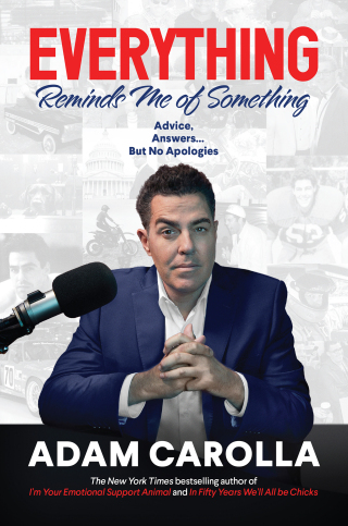 Cover image: Everything Reminds Me of Something