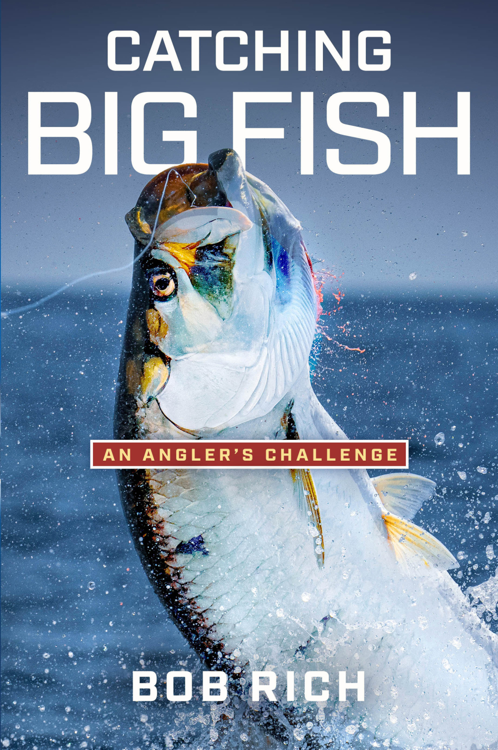 Catching Big Fish eBook