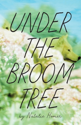 صورة الغلاف: Under the Broom Tree 9781938769993