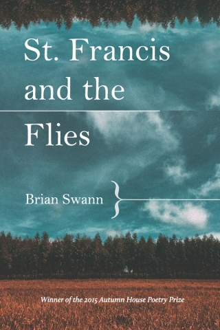 Cover image: St. Francis and the Flies 9781938769122