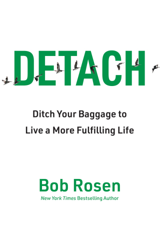 Cover image: Detach 9781637746455