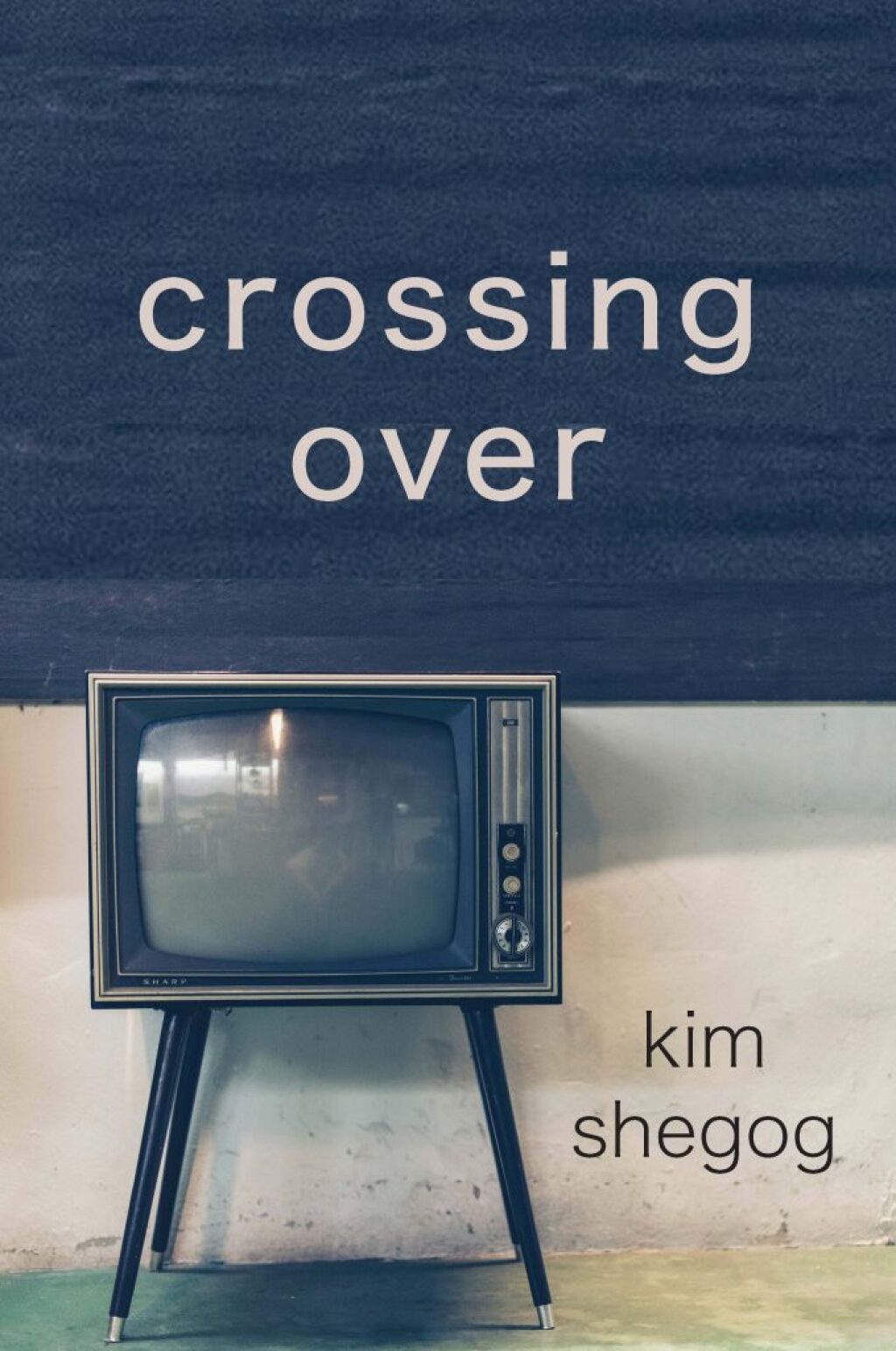 crossing over eBook