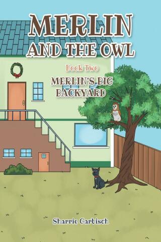Cover image: Merlin and the Owl 9781638148401