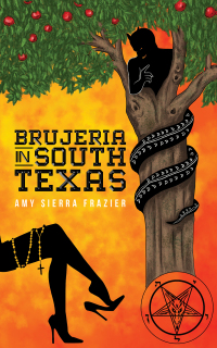 Cover image: Brujeria in South Texas 9781638293231