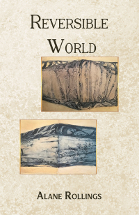 Cover image: Reversible World 9781638295761