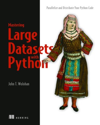 Cover image: Mastering Large Datasets with Python 9781617296239