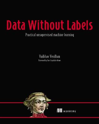 Cover image: Data Without Labels 9781617298721