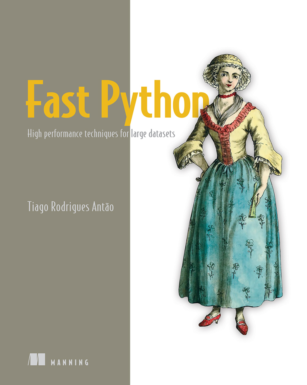 Fast Python (eBook)