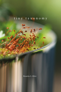 Imagen de portada: Tiny Taxonomy 9781940291833