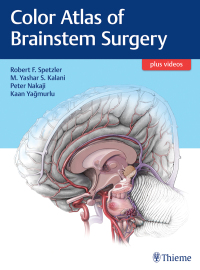 Omslagafbeelding: Color Atlas of Brainstem Surgery 1st edition 9781626230279