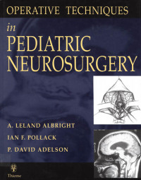 Titelbild: Operative Techniques in Pediatric Neurosurgery 1st edition 9780865778467