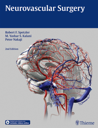 Imagen de portada: Neurovascular Surgery 2nd edition 9781604067590