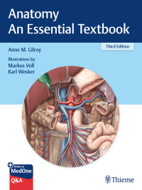 Immagine di copertina: Anatomy - An Essential Textbook 3rd edition 9781684202591