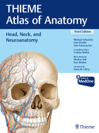 Cover image: Head, Neck, and Neuroanatomy (THIEME Atlas of Anatomy) 3rd edition 9781626237223