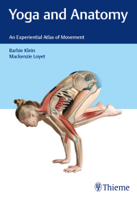 Cover image: Yoga and Anatomy 1st edition 9781626238305