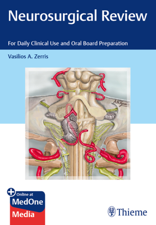 Cover image: Neurosurgical Review 1st edition 9781684200214