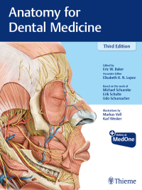 صورة الغلاف: Anatomy for Dental Medicine 3rd edition 9781684200467