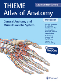 Cover image: General Anatomy and Musculoskeletal System (THIEME Atlas of Anatomy), Latin Nomenclature 3rd edition 9781684200849