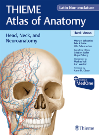 Cover image: Head, Neck, and Neuroanatomy (THIEME Atlas of Anatomy), Latin Nomenclature 3rd edition 9781684200863