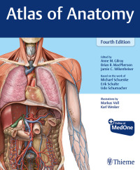 Omslagafbeelding: Atlas of Anatomy 4th edition 9781684202034