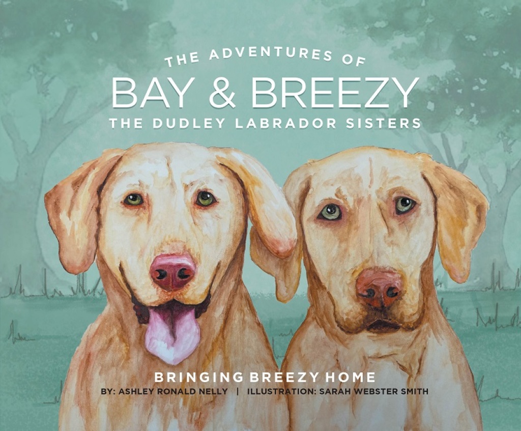 The Adventures of Bay and Breezy: Bringing Breezy Home The Dudley Labrador Sisters