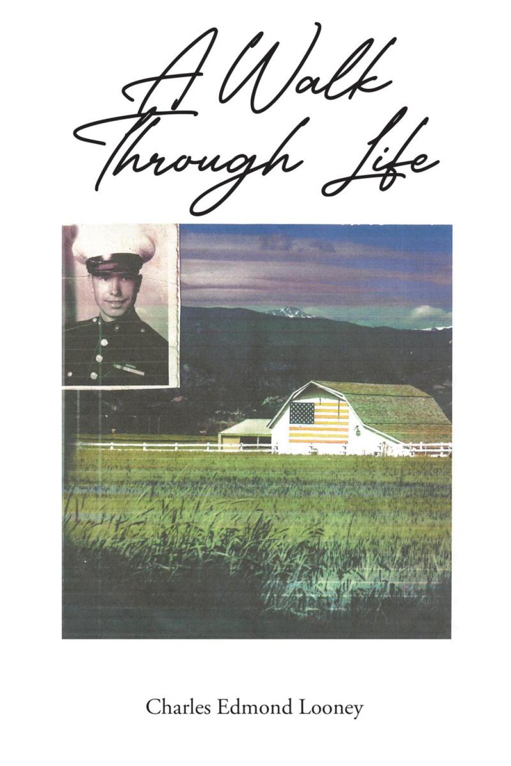 A Walk Through Life eBook
