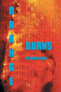 Imagen de portada: Orange Burns 9781638819868