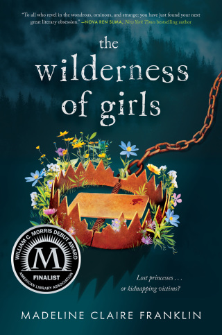 Cover image: The Wilderness of Girls 9781638931003