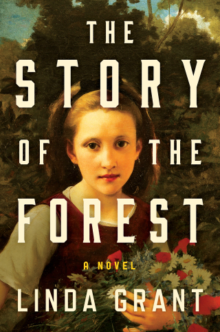 Cover image: The Story of the Forest 9781638931683