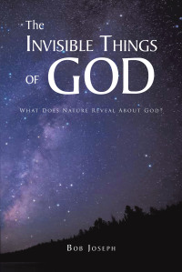 Imagen de portada: The Invisible Things of God 9781639031320