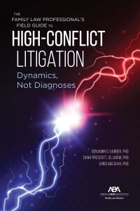 Cover image: The Family Law Professional's Field Guide to High-Conflict Litigation 9781639050109