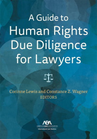 Imagen de portada: A Guide to Human Rights Due Diligence for Lawyers 9781639052028