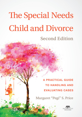 Cover image: The Special Needs Child and Divorce 2nd edition 9781639052042
