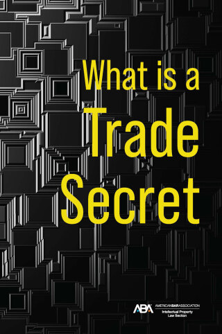 表紙画像: What is a Trade Secret 9781639054442
