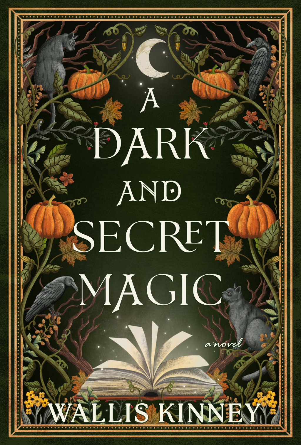 A Dark and Secret Magic A Novel