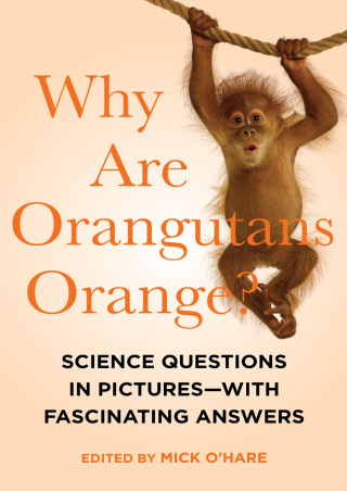 Cover image: Why Are Orangutans Orange?