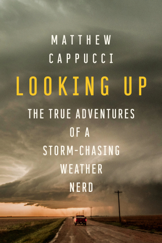 Cover image: Looking Up