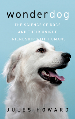 Cover image: Wonderdog