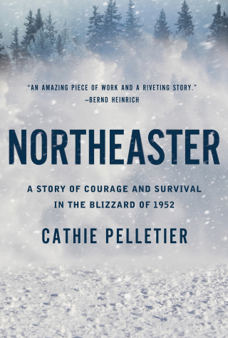 Cover image: Northeaster