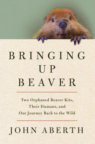 Cover image: Bringing Up Beaver