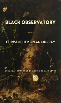 Cover image: Black Observatory 9781639550265