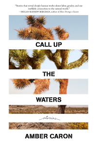 Imagen de portada: Call Up the Waters 9781639550449