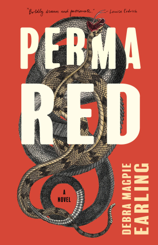 Cover image: Perma Red 9781571311467