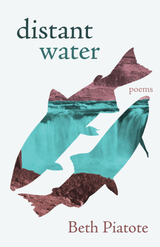Titelbild: distant water 9781639551682