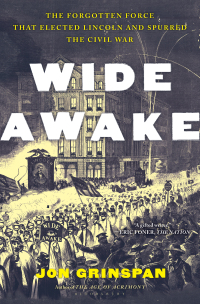 Immagine di copertina: Wide Awake 1st edition 9781639730643