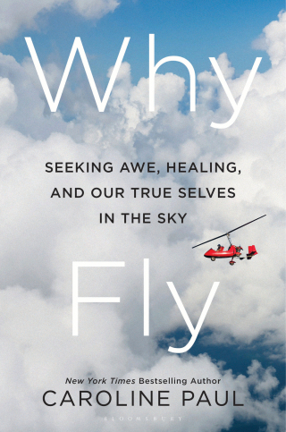 Imagen de portada: Why Fly 1st edition 9781639734993