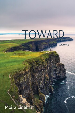 Imagen de portada: Toward 9781639820450