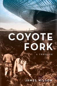 Imagen de portada: Coyote Fork 9781639820511